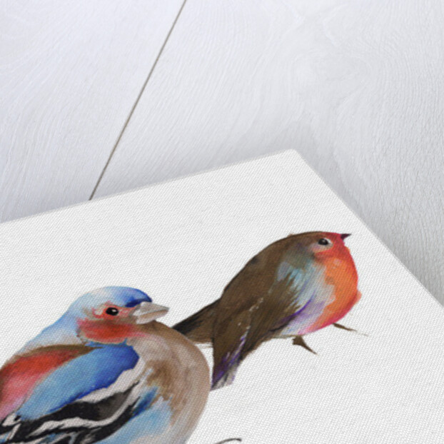 Birds of a feather, 2011 by Nancy Moniz Charalambous