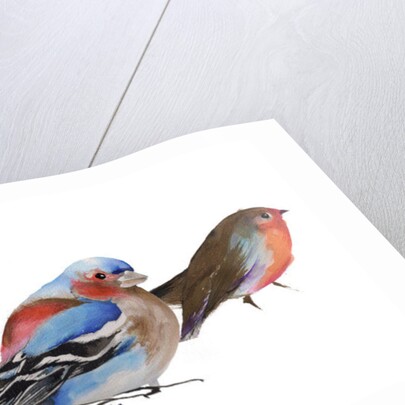 Birds of a feather, 2011 by Nancy Moniz Charalambous