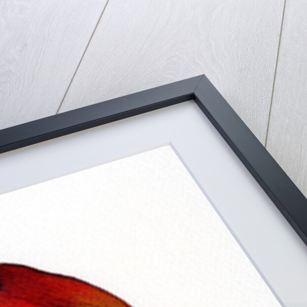 Two Little Ink Birds, 2014 by Nancy Moniz Charalambous