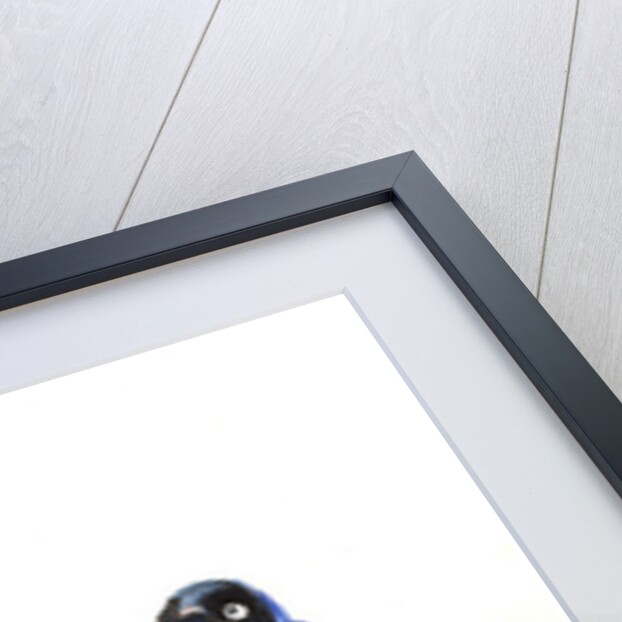 Chitchat, 2013 by Nancy Moniz Charalambous