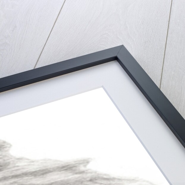 Coot of London, 2013 by Nancy Moniz Charalambous