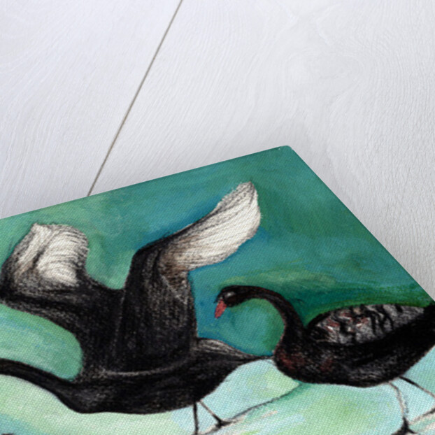 A ballet of Black Swans, 2013 by Nancy Moniz Charalambous