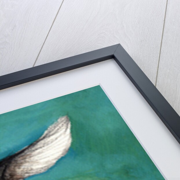 A ballet of Black Swans, 2013 by Nancy Moniz Charalambous