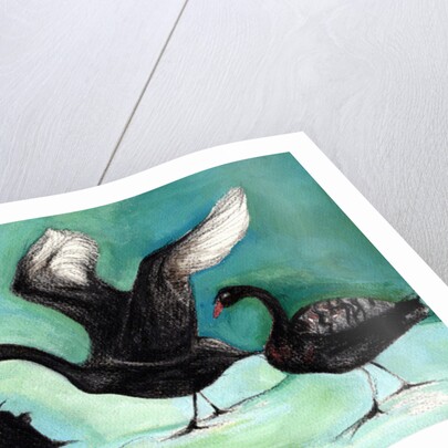 A ballet of Black Swans, 2013 by Nancy Moniz Charalambous