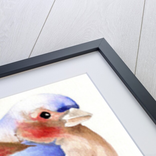 Colourful Chaffinch, 2011 by Nancy Moniz Charalambous