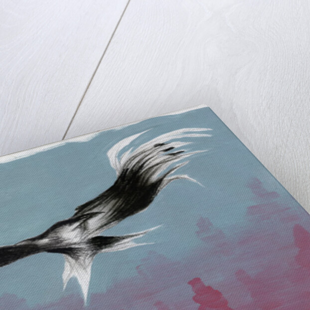Canyon Eagle, 2014 by Nancy Moniz Charalambous