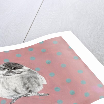 Chubby little bundle, 2014 by Nancy Moniz Charalambous