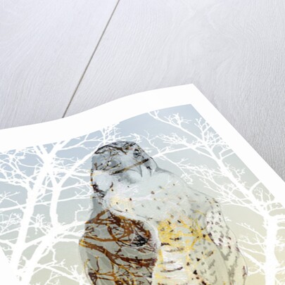 Peregrine Falcon, 2015 by Nancy Moniz Charalambous