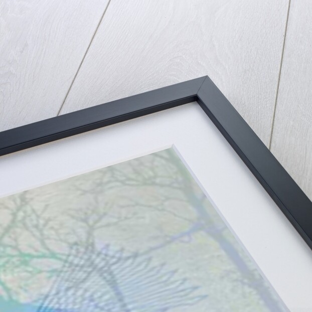 Autumn Dawn, 2016 by Nancy Moniz Charalambous