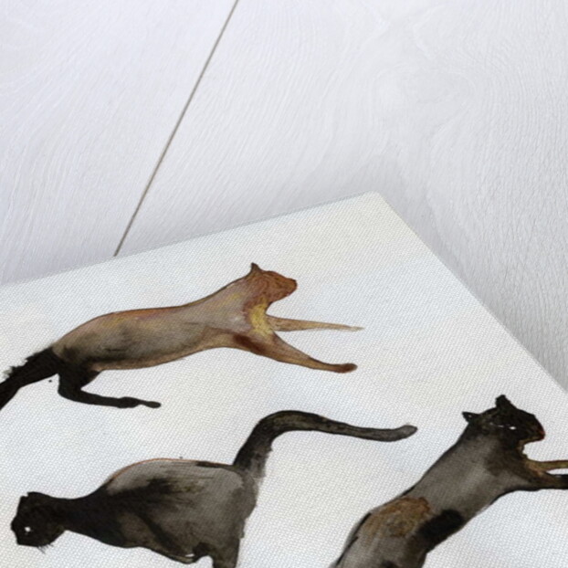 Run Cat Run, 2017 by Nancy Moniz Charalambous