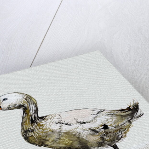 Filthy Goose, 2017 by Nancy Moniz Charalambous