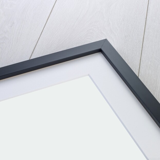 Filthy Goose, 2017 by Nancy Moniz Charalambous