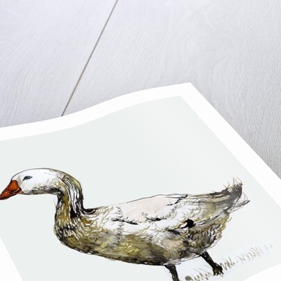 Filthy Goose, 2017 by Nancy Moniz Charalambous