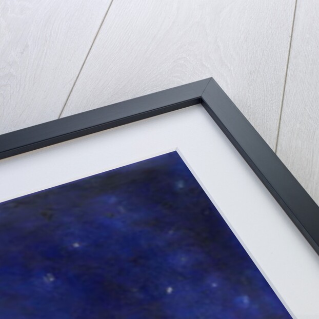 The Owl and the Gold Leaf Dragonfly, 2013 by Nancy Moniz Charalambous