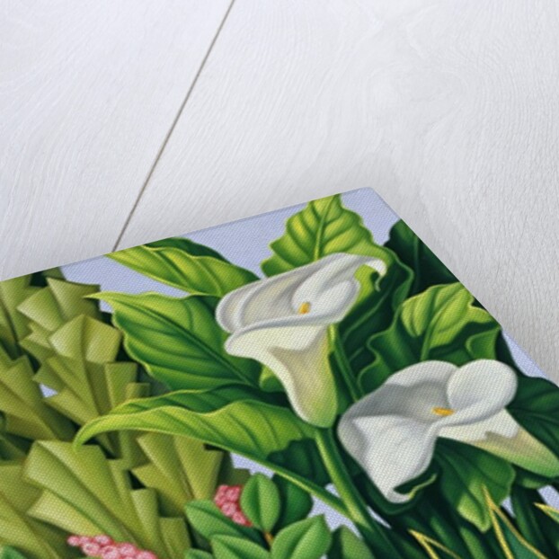 Foliage I, 2003 by Catherine Abel