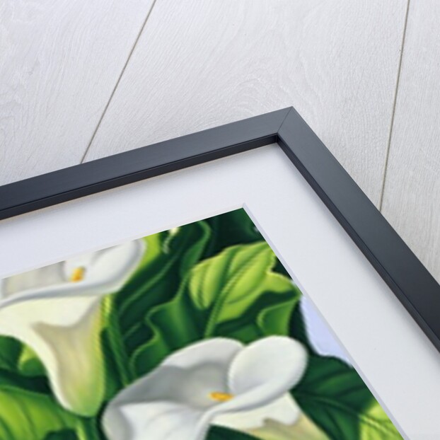 Foliage I, 2003 by Catherine Abel