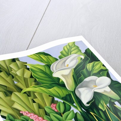 Foliage I, 2003 by Catherine Abel