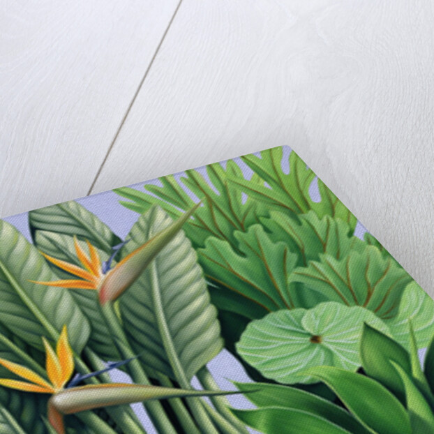 Foliage II, 2005 by Catherine Abel