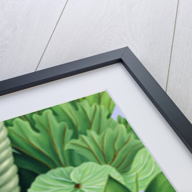 Foliage II, 2005 by Catherine Abel