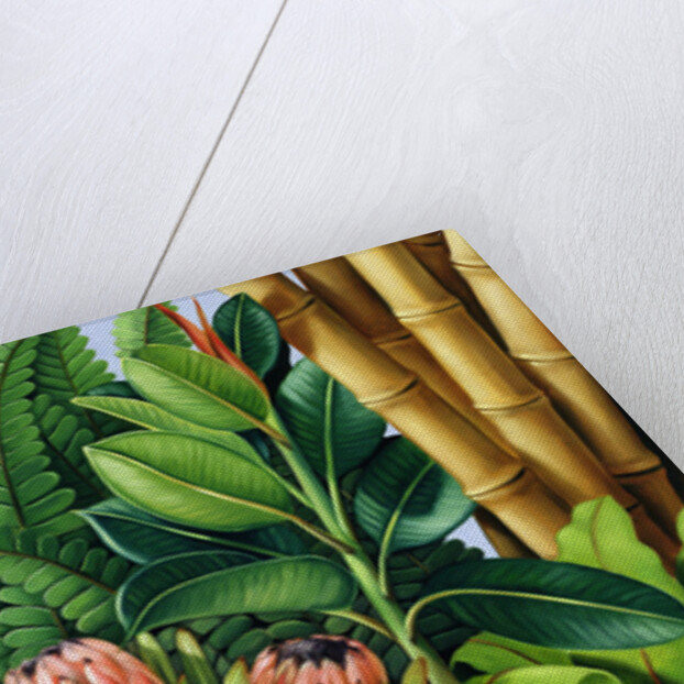 Foliage III, 2005 by Catherine Abel