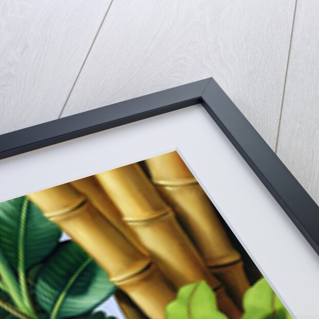 Foliage III, 2005 by Catherine Abel