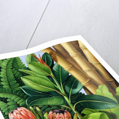 Foliage III, 2005 by Catherine Abel