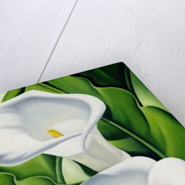 Lilies, 2002 by Catherine Abel