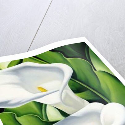 Lilies, 2002 by Catherine Abel