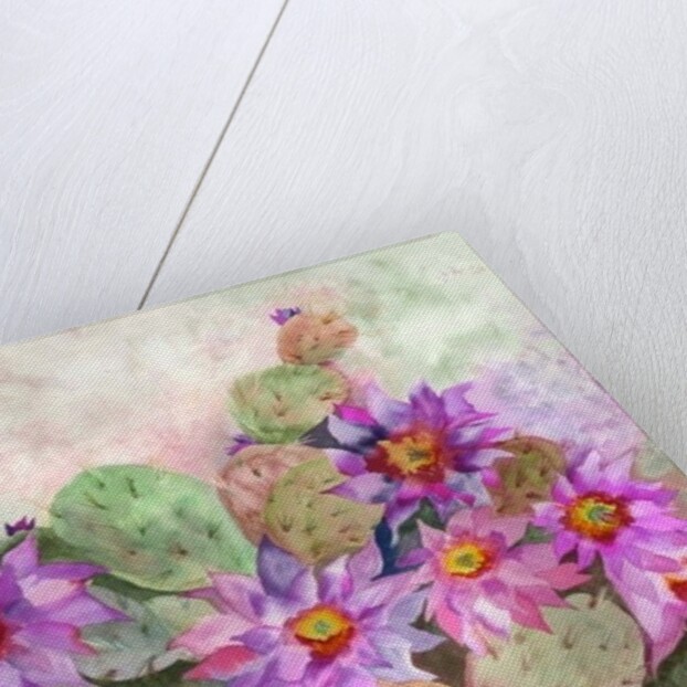 cactus garden by Neela Pushparaj