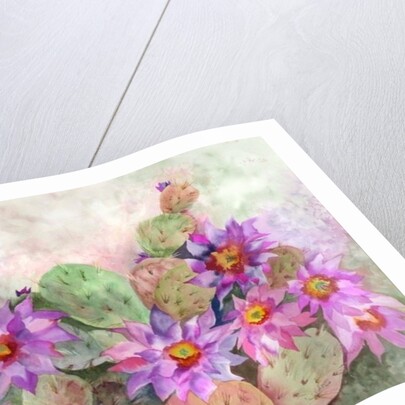 cactus garden by Neela Pushparaj