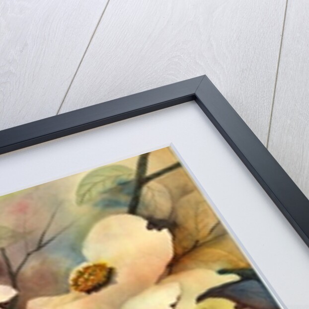 dogwood, 2002 by Neela Pushparaj