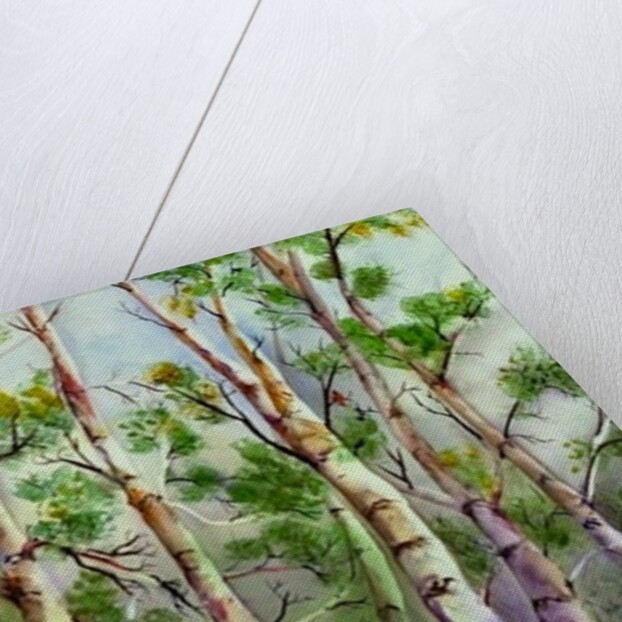 Spring Birches by Neela Pushparaj