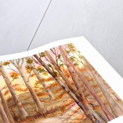 Tall Trees by Neela Pushparaj