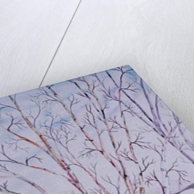 Winter Whites by Neela Pushparaj