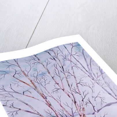 Winter Whites by Neela Pushparaj