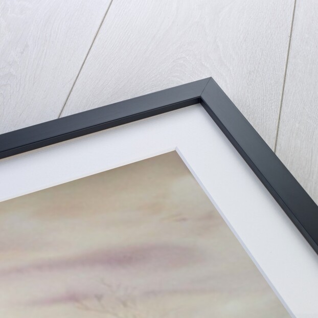 Still Water with Trees by Neela Pushparaj