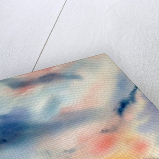 Big Sky by Neela Pushparaj