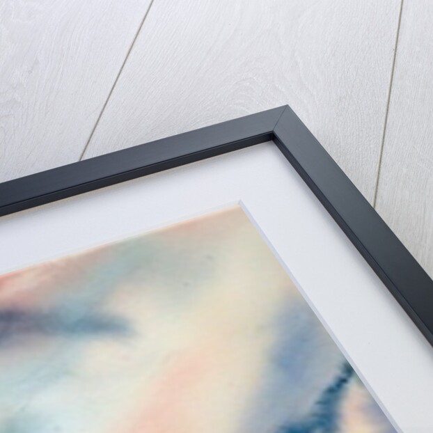 Big Sky by Neela Pushparaj