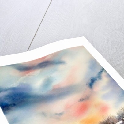 Big Sky by Neela Pushparaj