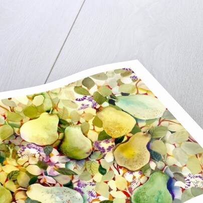 Pears, 2005 by Neela Pushparaj