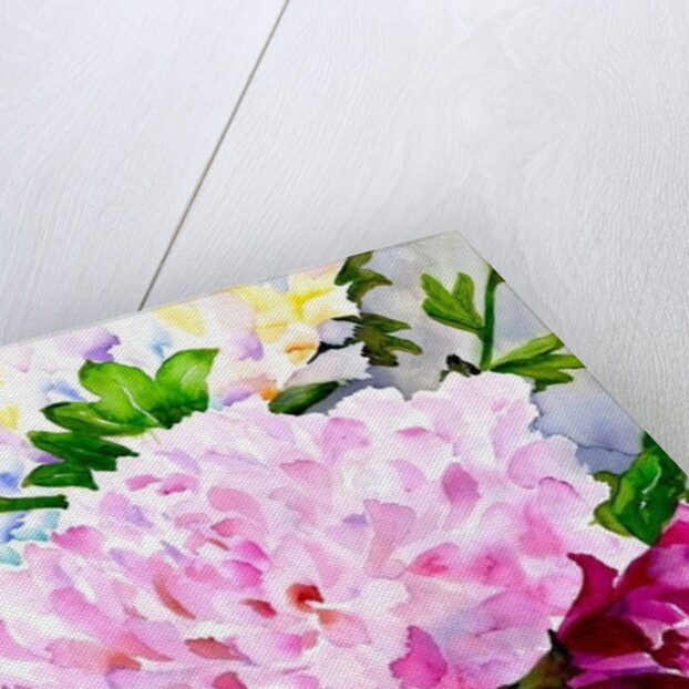 Pink Peony by Neela Pushparaj