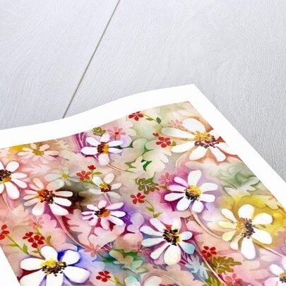 Daisies Galore, 2005 by Neela Pushparaj