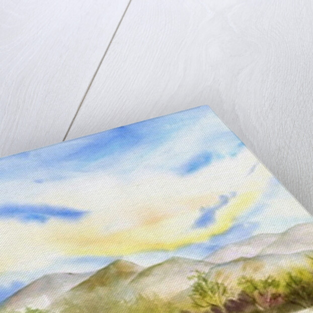 Sunny Day by Neela Pushparaj