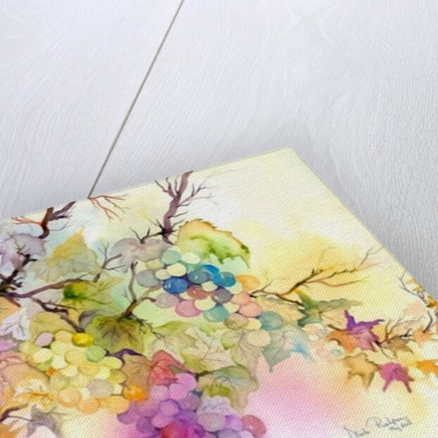 Fruit on the Vine by Neela Pushparaj