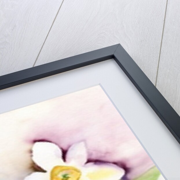 Three Daffodils, 2007 by Neela Pushparaj