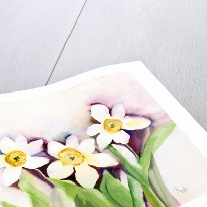 Three Daffodils, 2007 by Neela Pushparaj