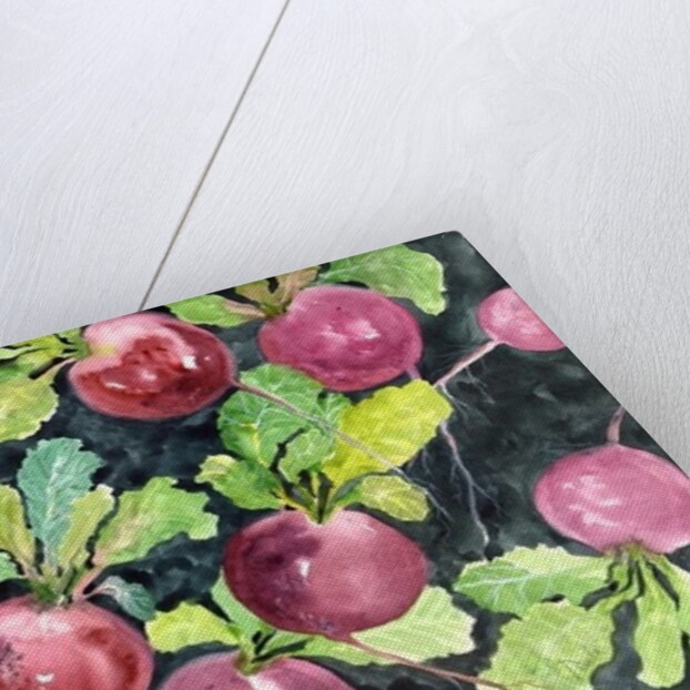 Radishes by Neela Pushparaj