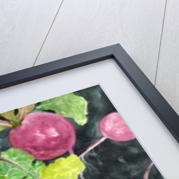 Radishes by Neela Pushparaj