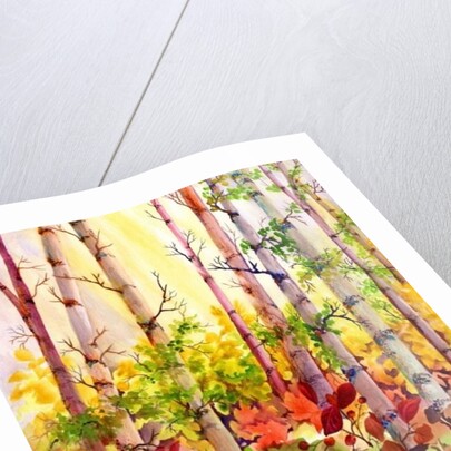 Autumn Woods, 2009 by Neela Pushparaj