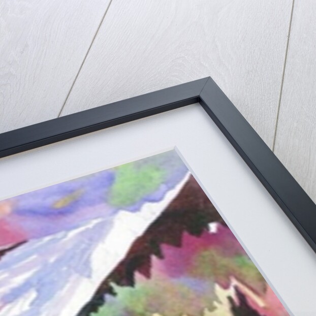 Alaskan sea lion by Neela Pushparaj